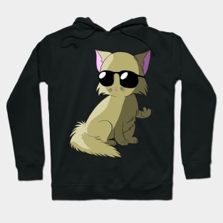 cool Persian Cat Kitty shows Middle Finger Hoodie